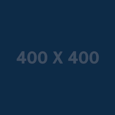 张总监的照片